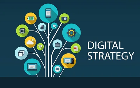 custom website development & digital strategy